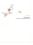 004.webp