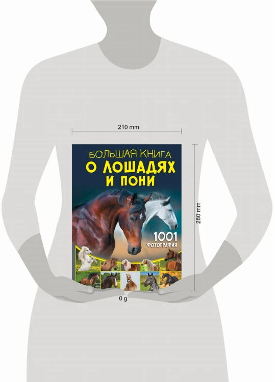 Большая книга о лошадях и пони. 1001 фотография