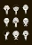 004.webp