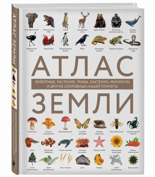Атлас Земли. Животные, растения, грибы, бактерии, минералы и другие сокровища нашей планеты