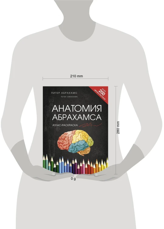 Анатомия Абрахамса. Атлас-раскраска