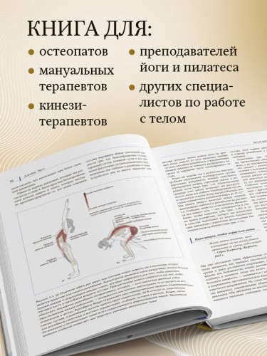 Функциональная анатомия движения. Руководство по анализу биомеханики и работе с миофасциальными меридианами