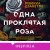 Одна проклятая роза
