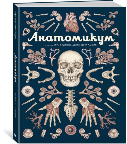 Анатомикум