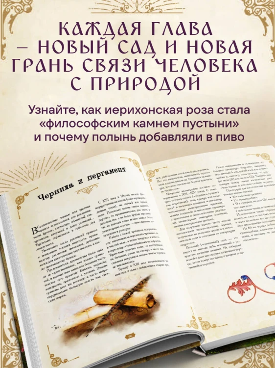 Травология Средневековья. Чудодейственные растения, древние рецепты и непостижимые тайны трав