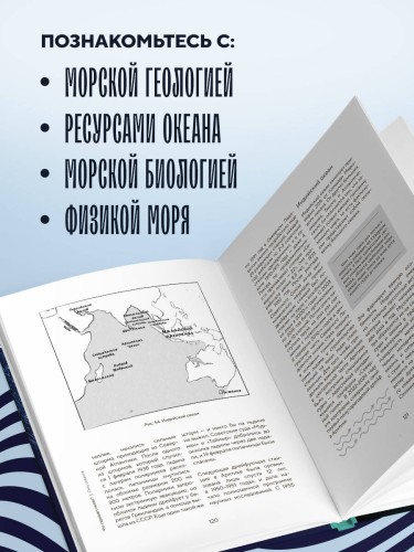 Этот неизвестный океан: как работают приливы, рождаются шторма и живут невидимые создания в морских глубинах