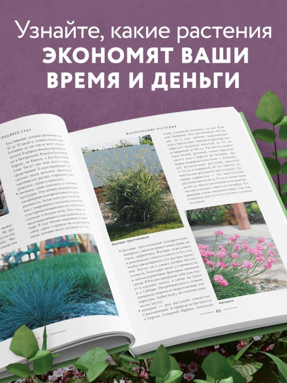 Секреты малоуходного сада. Как создать дизайн участка с неприхотливыми декоративными растениями