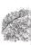 4.webp
