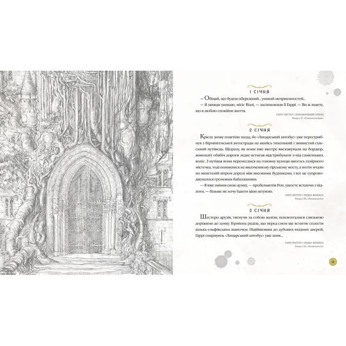 Гаррі Поттер. Магічний рік. Велике ілюстроване видання