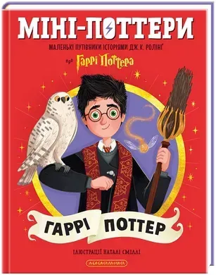 Міні-Поттери. Гаррі Поттер.