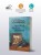 Мнимая власть безумия