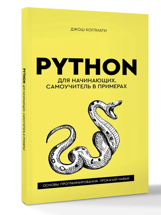 Python для начинающих. Самоучитель в примерах