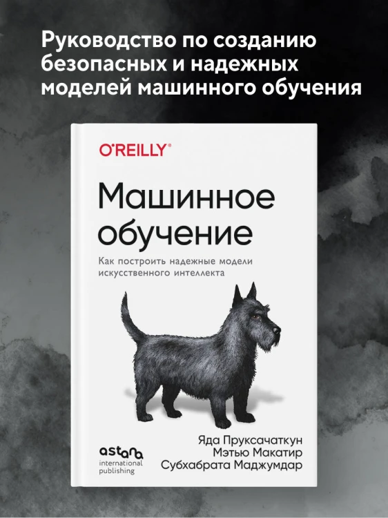 Машинное обучение. Как построить надежные модели искусственного интеллекта