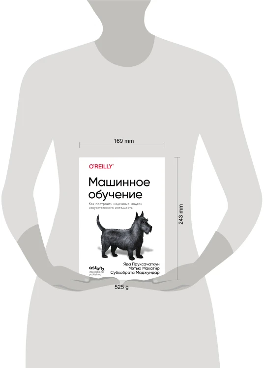 Машинное обучение. Как построить надежные модели искусственного интеллекта
