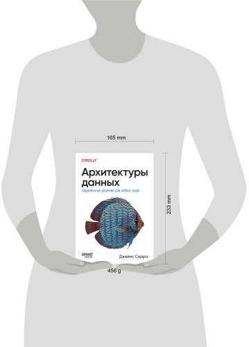 Архитектуры данных: современные решения для любых задач