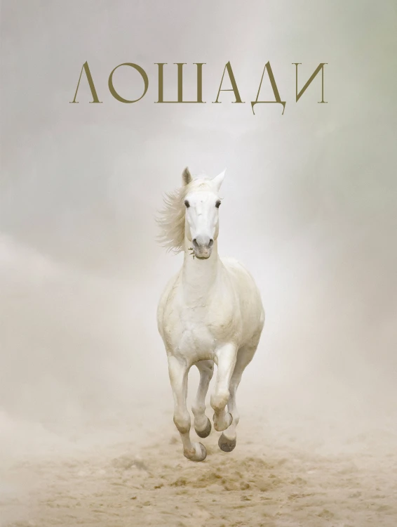 Лошади