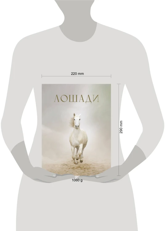 Лошади