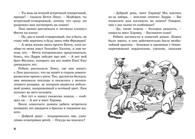 Тайна пропавшей кошки. Кн.2