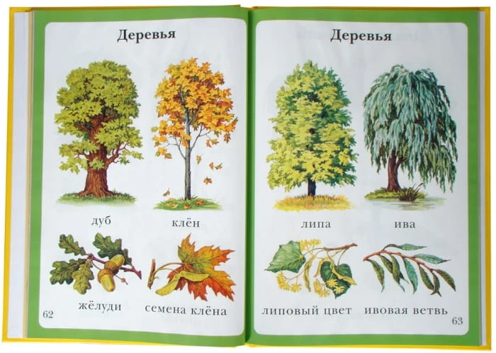 стр.jpg