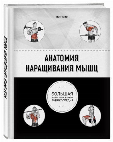 Анатомия наращивания мышц