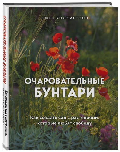 Очаровательные бунтари. Как создать сад с растениями, которые любят свободу