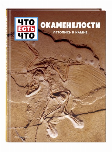 ОКАМЕНЕЛОСТИ. Летопись в камне