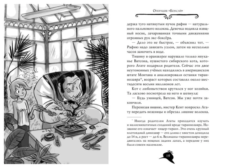 Агата Мистери. Кн. 24. Месть на горе Фудзи