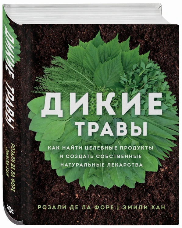 Дикие травы: как найти целебные продукты и создать собственные натуральные лекарства