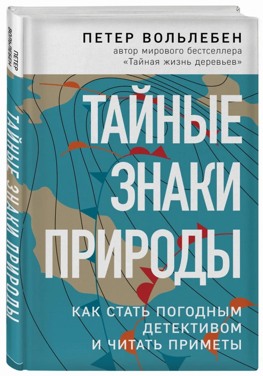 Тайные знаки природы: как стать погодным детективом и читать приметы