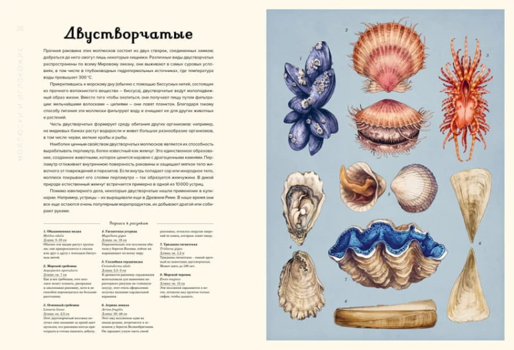Океанариум