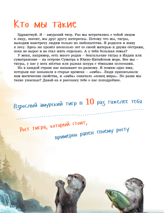 ya-tigr_ada.png