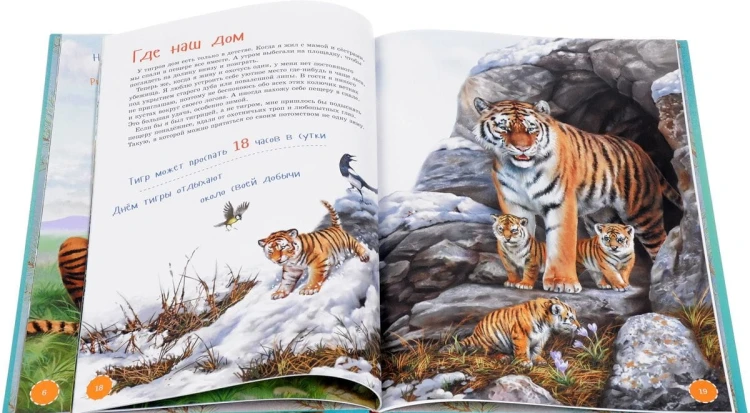 ya-tigr_ed4.jpg