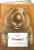 ya-vombat-zanimatelnaya-zoologiya-.png
